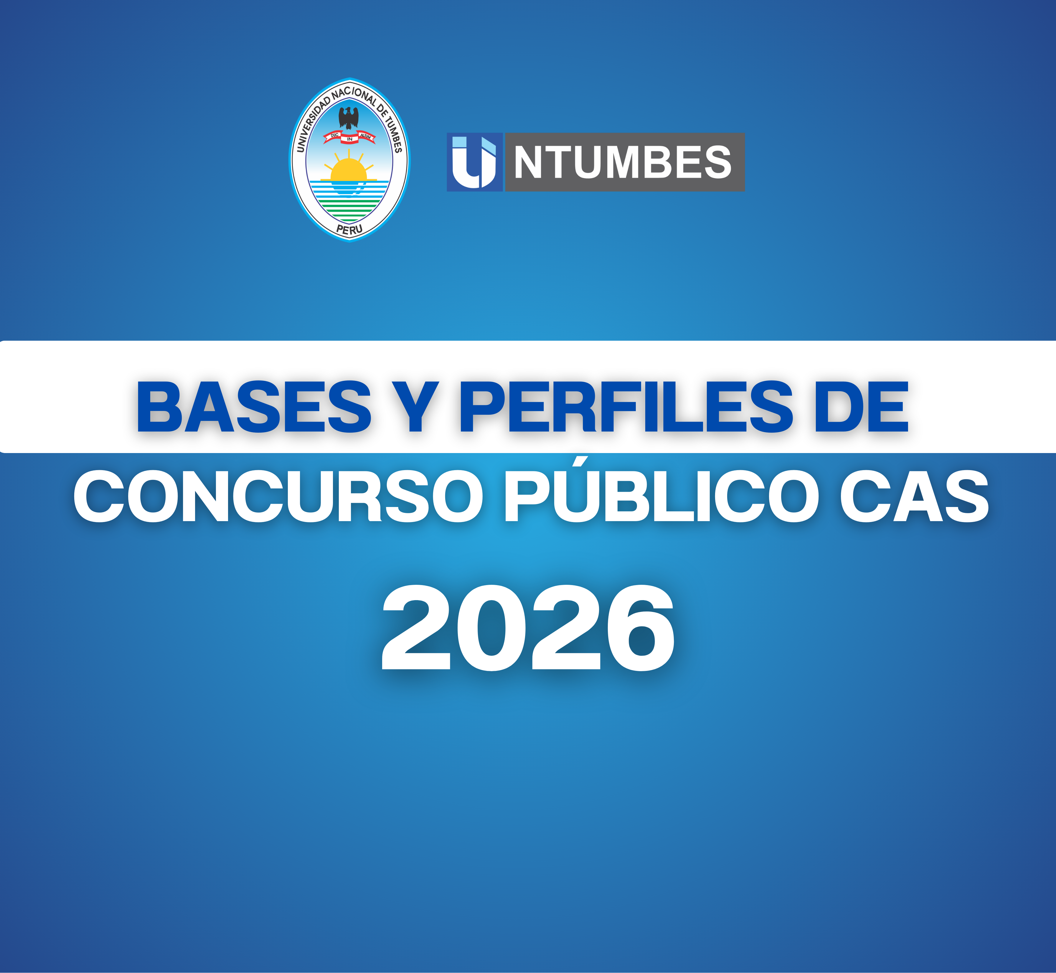 BASES Y PERFILES DE CONCURSO PÚBLICO CAS 2026 
